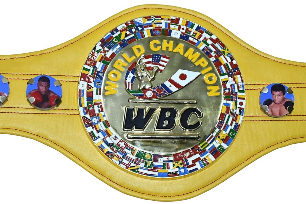 4845 WBC Championship Boxing Belt 3D Replica Adult Titles Yellow